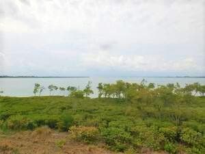 27 HARBOUR ISLE Drive W # 305, Fort Pierce, FL 34949