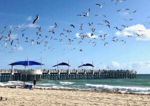 1012 N OCEAN Boulevard # 802, Pompano Beach, FL 33062 — zdjęcie 2