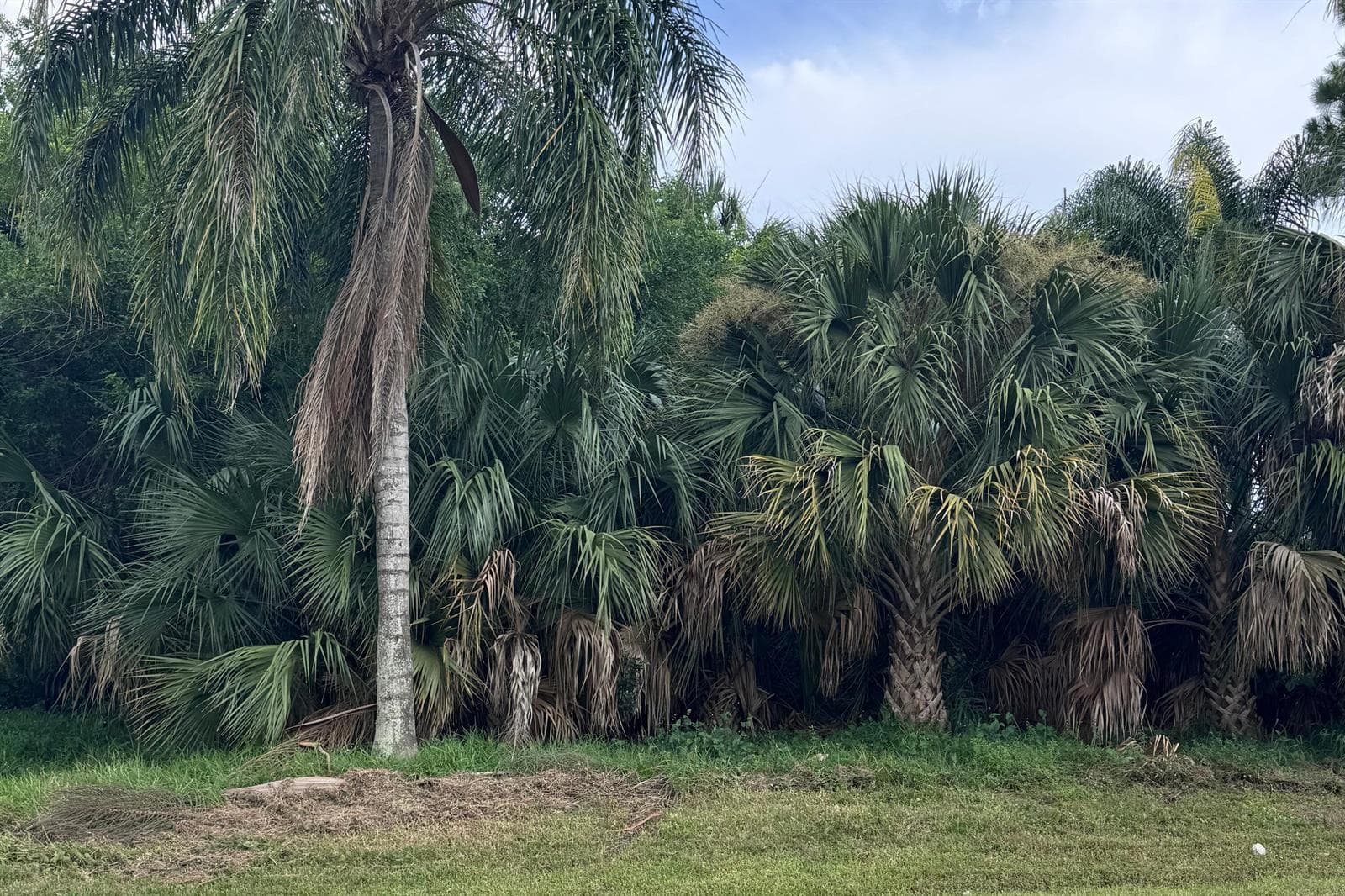 908 SW BAY STATE Road, Port St. Lucie, FL 34953 — zdjęcie 2