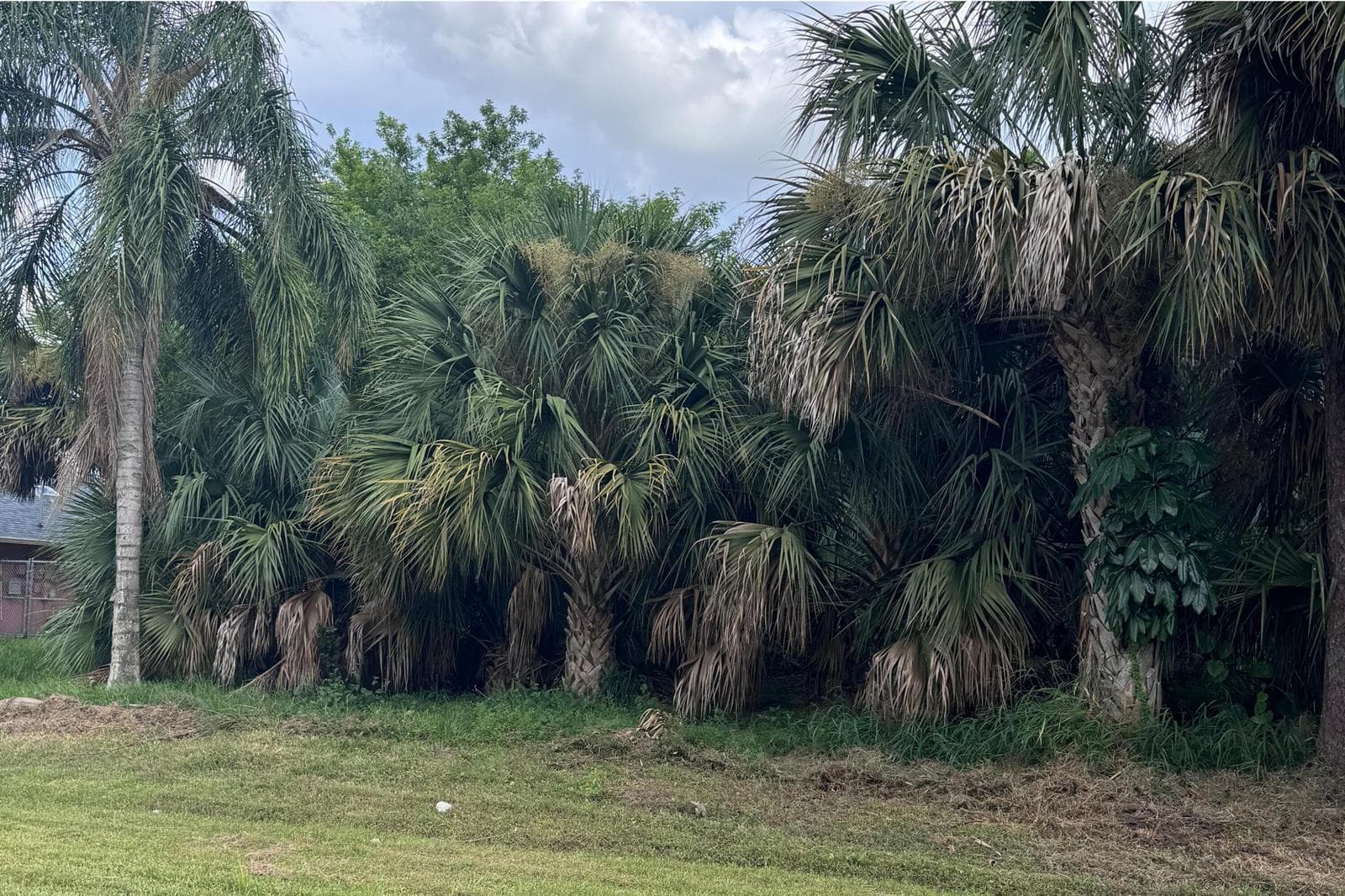 908 SW BAY STATE Road, Port St. Lucie, FL 34953 — zdjęcie 3