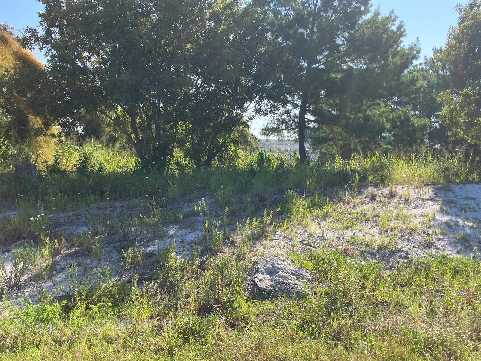 0000 US HIGHWAY 1, Fort Pierce, FL 34946 — zdjęcie 3
