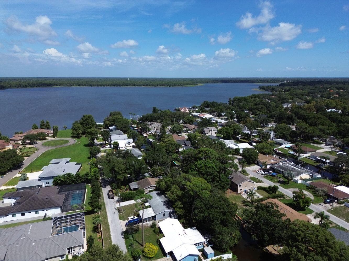 3363 MARION Drive, Palm Harbor, FL 34684 — zdjęcie 4