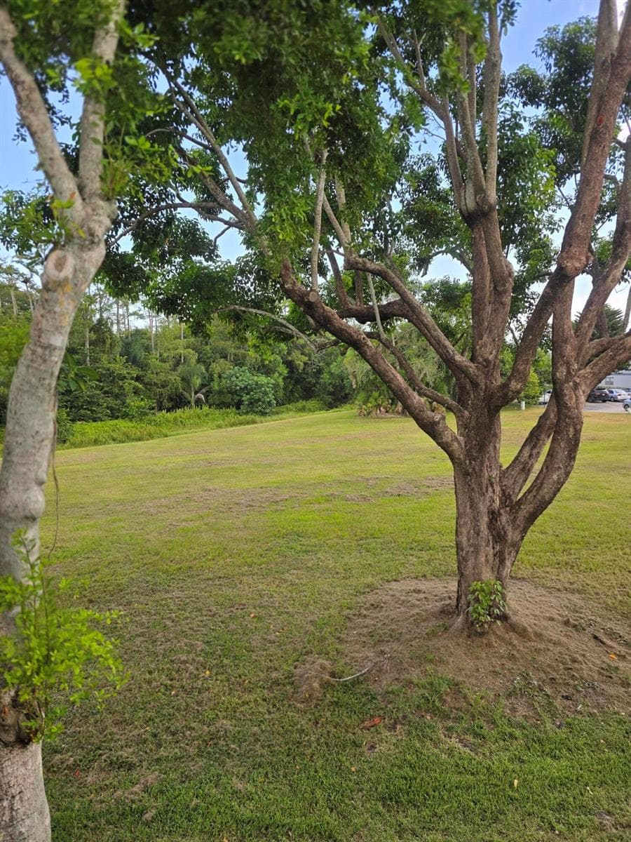 667 Saxony N, Delray Beach, FL 33446 — zdjęcie 2