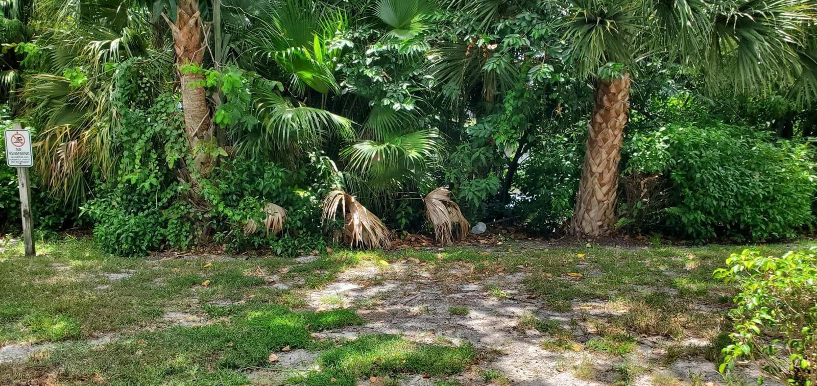 2303 N Congress Avenue, Boynton Beach, FL 33426 — zdjęcie 2
