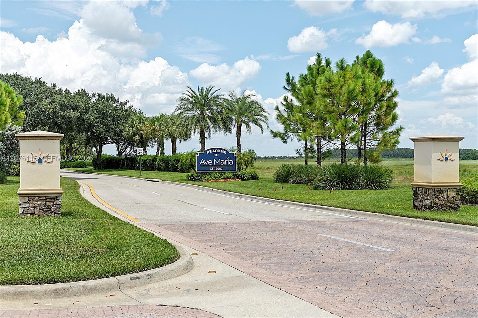 5461 AVE MARIA, Ave Maria, FL 34142 — zdjęcie 3