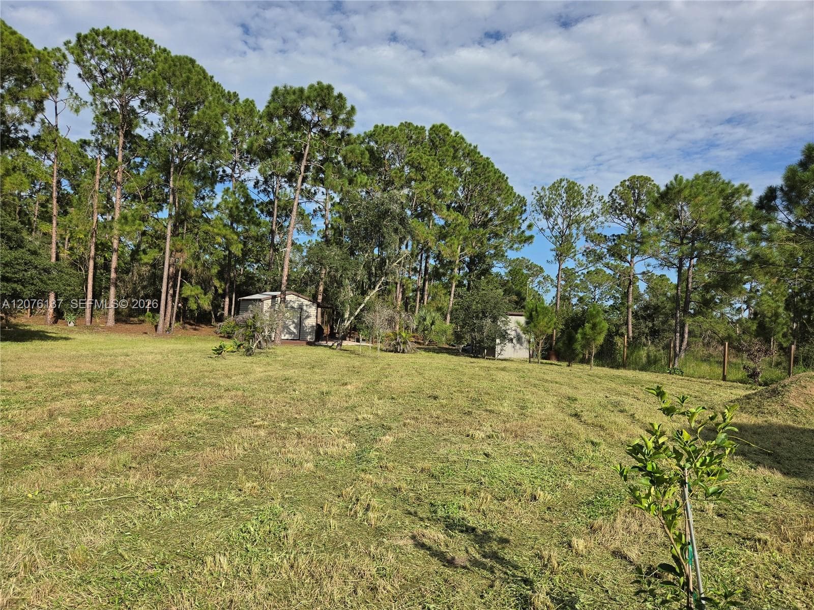 345 Rolling Hills Dr, Lake Placid, FL 33852 — zdjęcie 3