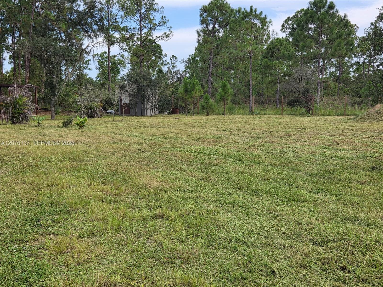 345 Rolling Hills Dr, Lake Placid, FL 33852 — zdjęcie 5