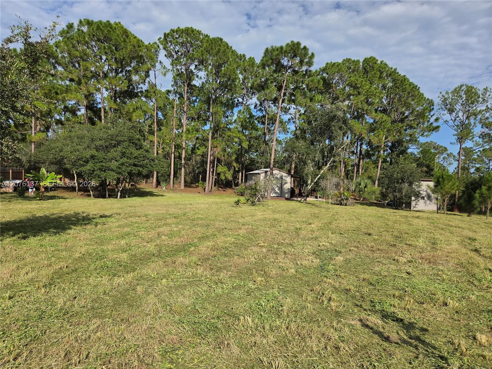 345 Rolling Hills Dr, Lake Placid, FL 33852 — zdjęcie 4
