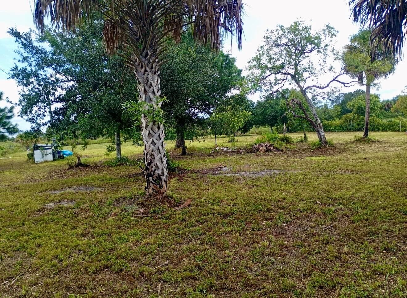 15313 NW 310TH Street N, Okeechobee, FL 34972