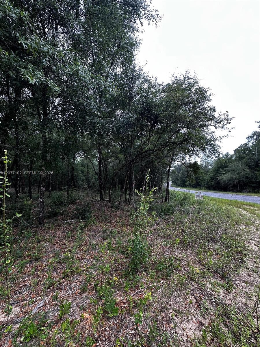 0000 Diane Place, Other City - In The State Of Florida, FL 32428 — zdjęcie 2