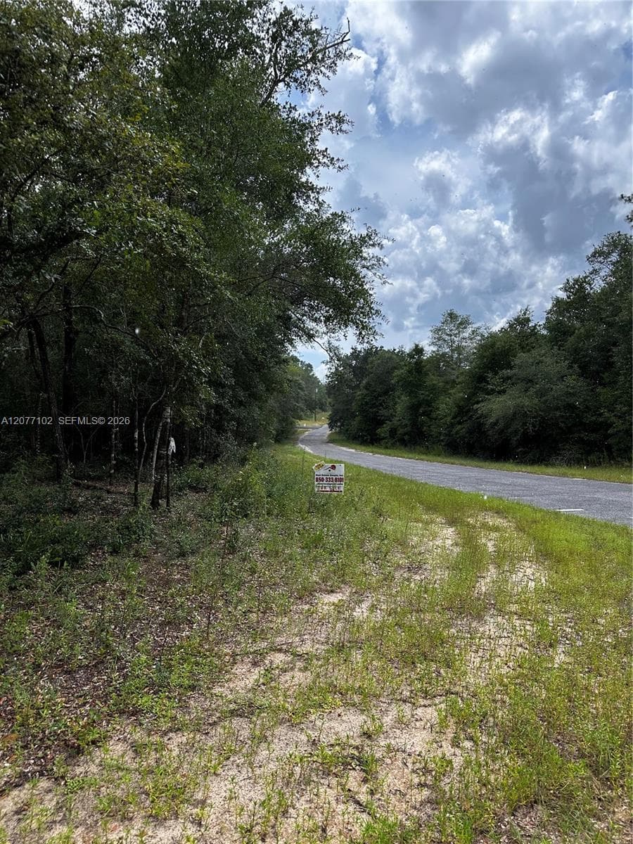 0000 Diane Place, Other City - In The State Of Florida, FL 32428 — zdjęcie 5