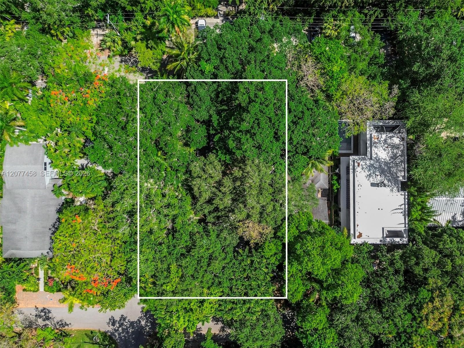3595 Avocado Ave, Miami, FL 33133
