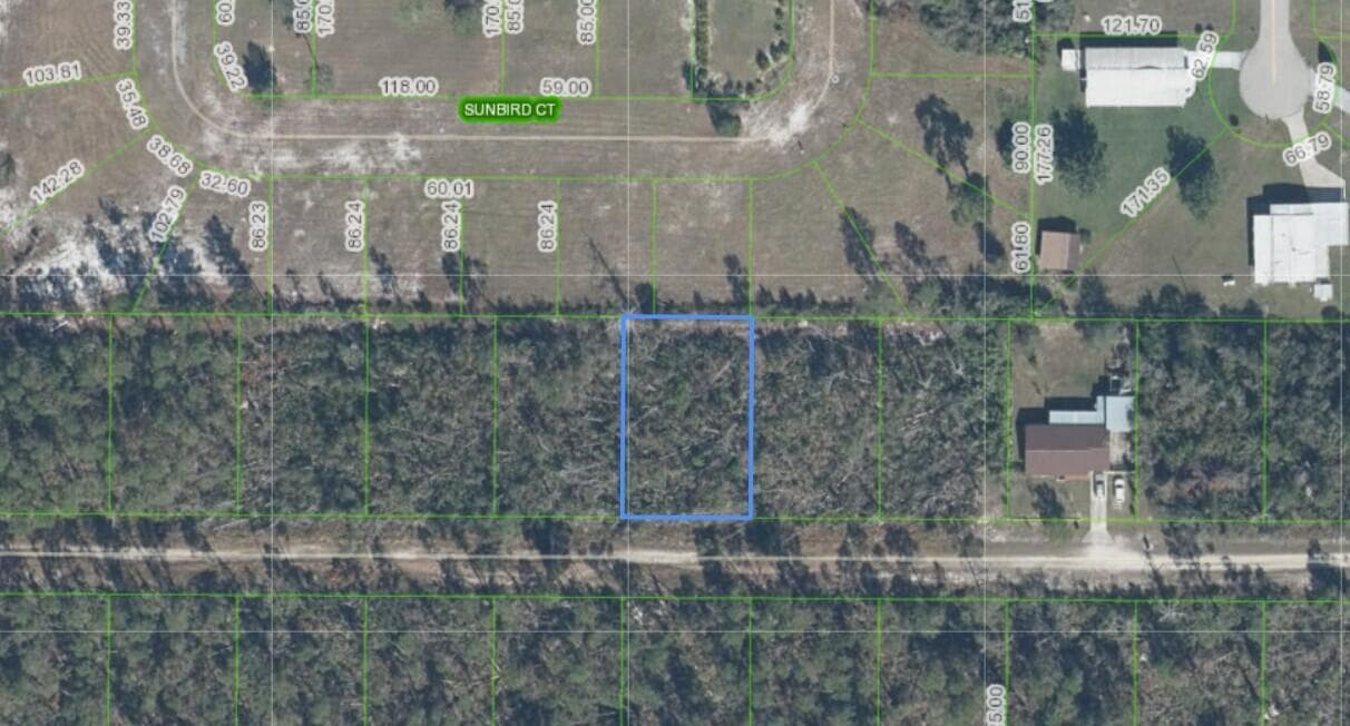 436 NIGHTINGALE Avenue, Sebring, FL 33870 — zdjęcie 3