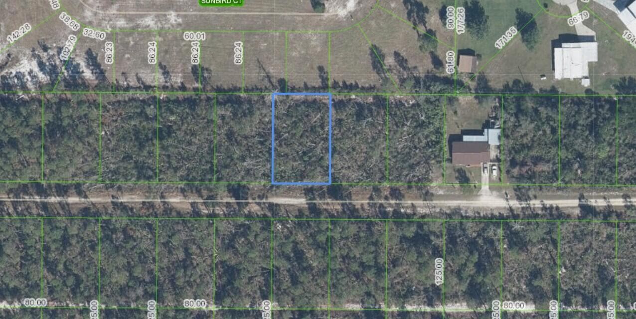 436 NIGHTINGALE Avenue, Sebring, FL 33870