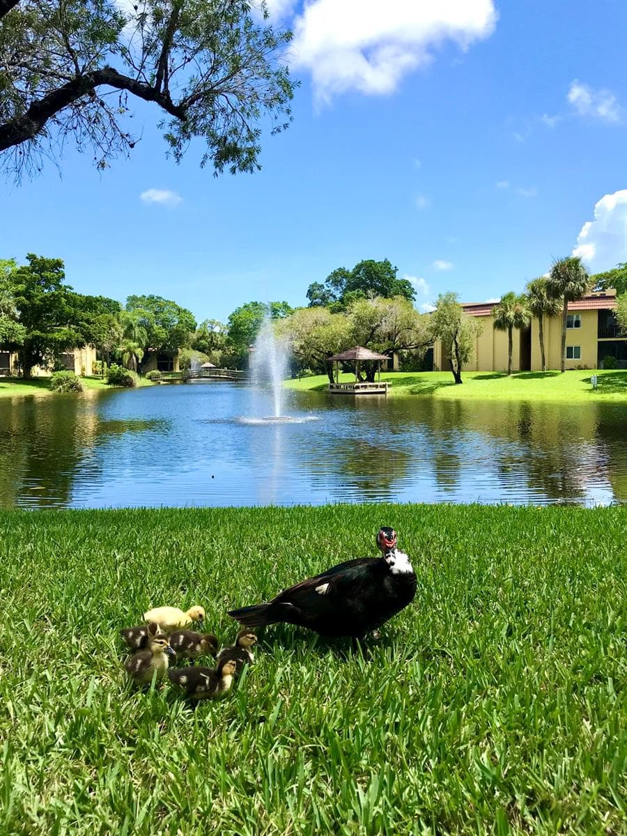 830 SW 9th Street Circle # APT 201, Boca Raton, FL 33486
