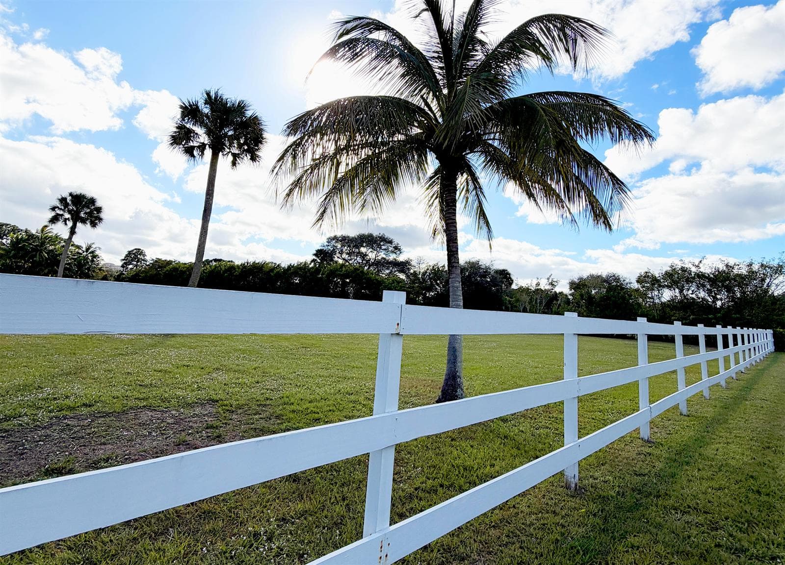 4656 Lillian Avenue, Palm Beach Gardens, FL 33418 — zdjęcie 3