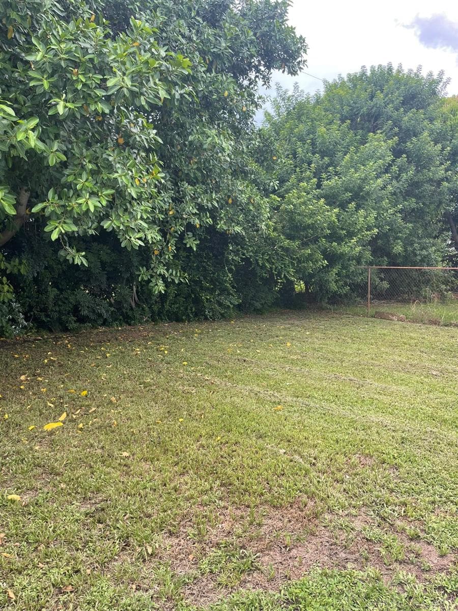 920 NW 3RD Street, Boynton Beach, FL 33435 — zdjęcie 3