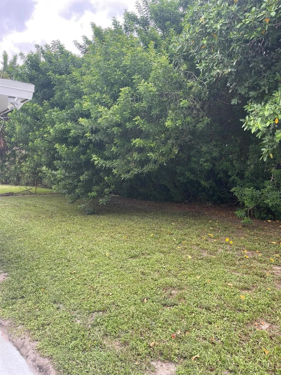 920 NW 3RD Street, Boynton Beach, FL 33435 — zdjęcie 5