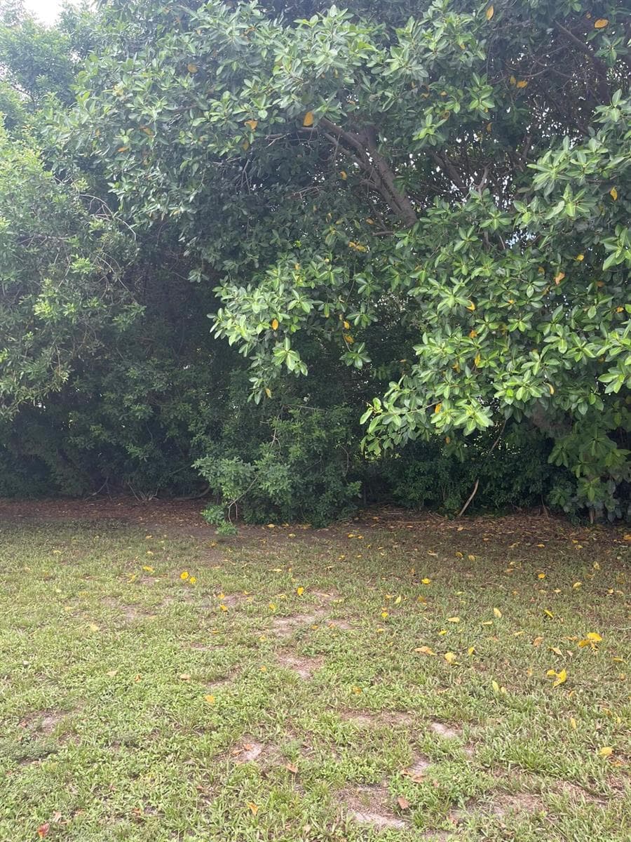 920 NW 3RD Street, Boynton Beach, FL 33435 — zdjęcie 4