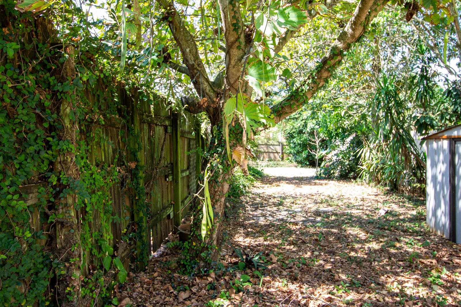 1435 WHITE PINE Drive, Wellington, FL 33414 — zdjęcie 3