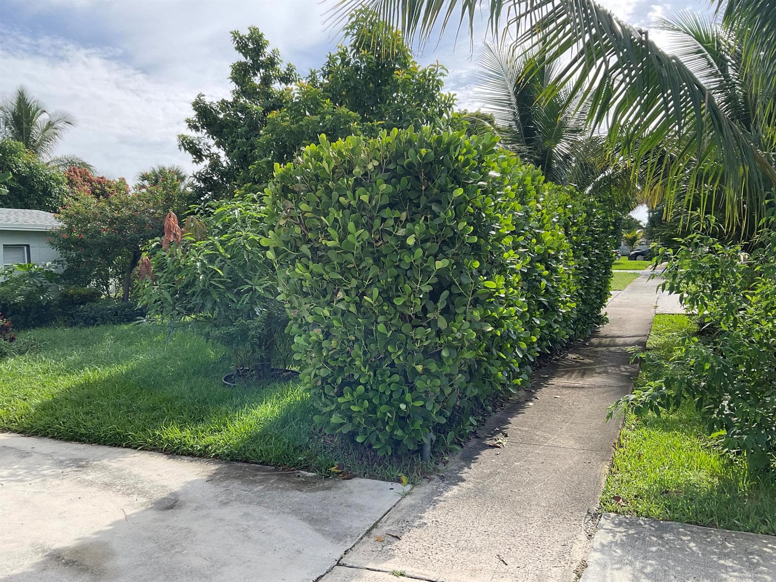 211 NE 27TH Avenue, Boynton Beach, FL 33435 — zdjęcie 4