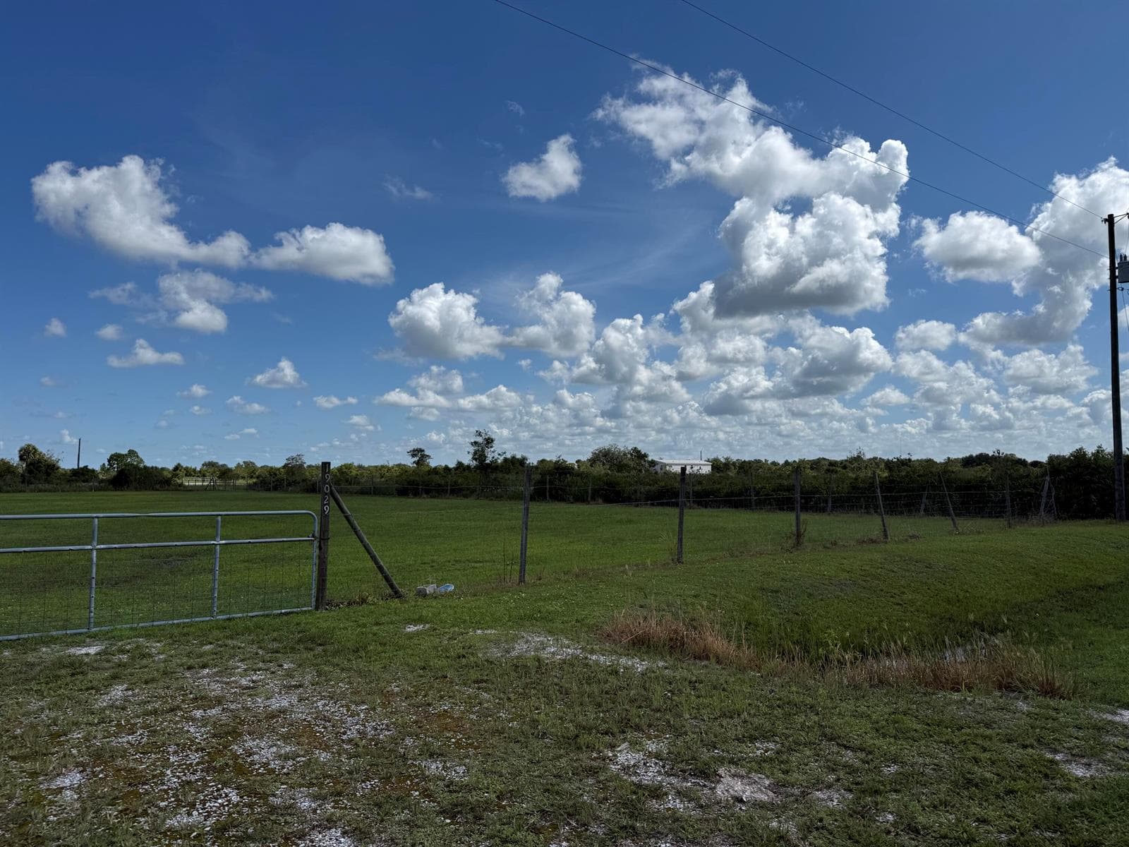 19029 NW 258TH Street, Okeechobee, FL 34972 — zdjęcie 5