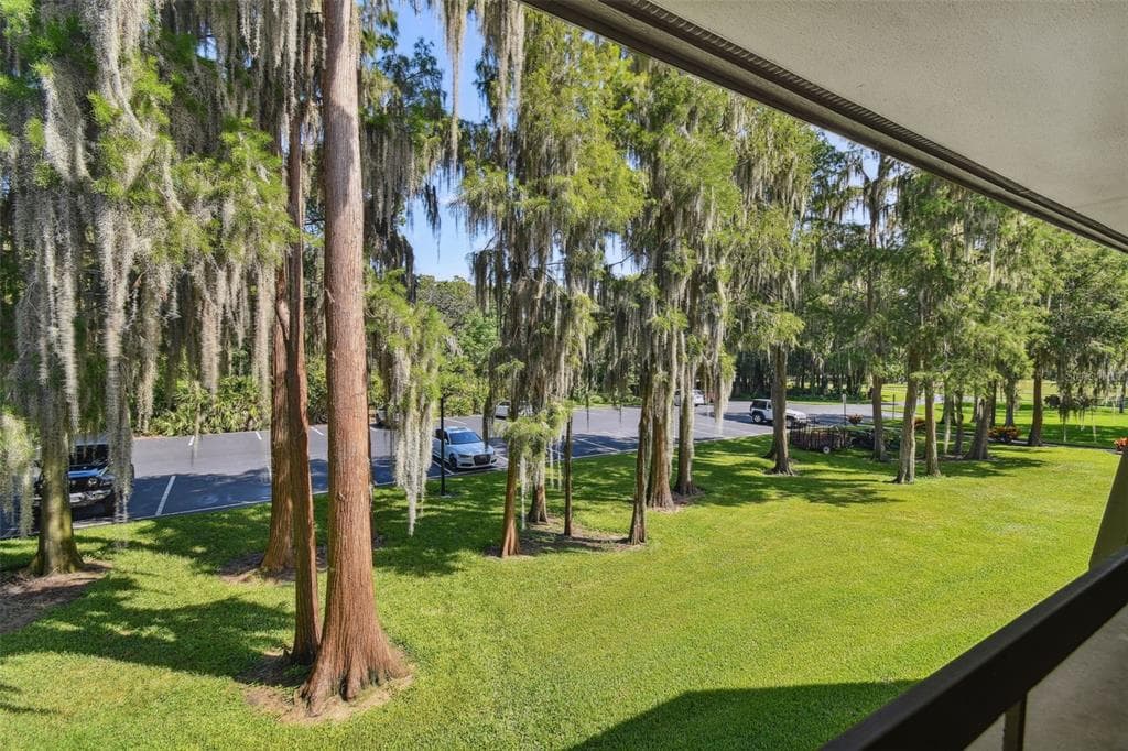 36750 US HIGHWAY 19 N # 04239, PALM HARBOR, FL 34684 — zdjęcie 5