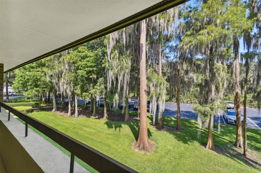 36750 US HIGHWAY 19 N # 04239, PALM HARBOR, FL 34684 — zdjęcie 4