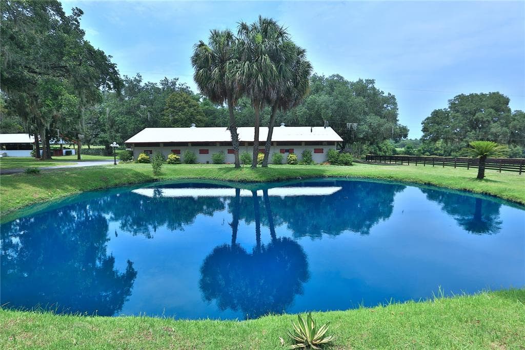 13450 NW GAINESVILLE ROAD, REDDICK, FL 32686 — zdjęcie 2