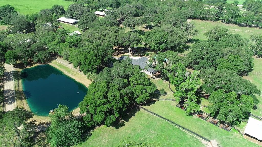 13450 NW GAINESVILLE ROAD, REDDICK, FL 32686 — zdjęcie 3