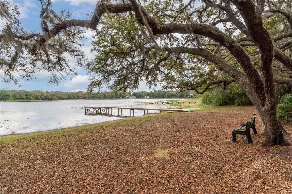 22645 NE 105TH AVENUE ROAD, FORT MC COY, FL 32134 — zdjęcie 5