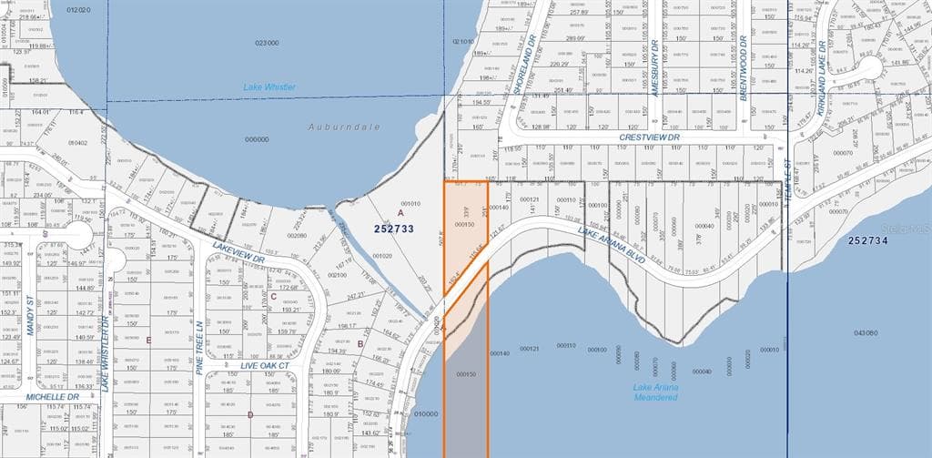 2060 LAKE ARIANA BOULEVARD, AUBURNDALE, FL 33823 — zdjęcie 4
