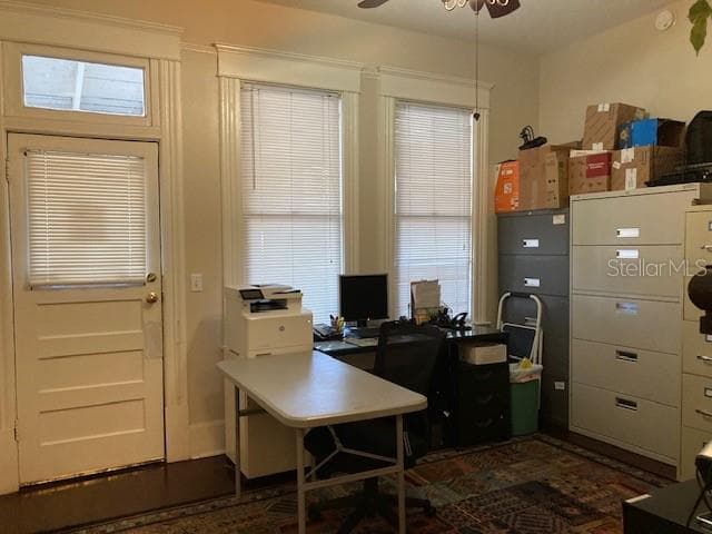 806 W DE LEON STREET, TAMPA, FL 33606 — zdjęcie 4