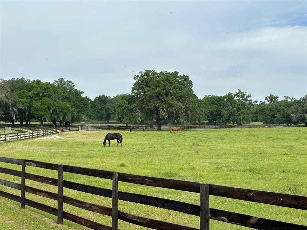 4101 NW 89TH PLACE, OCALA, FL 34482 — zdjęcie 2