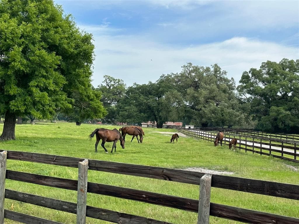 4101 NW 89TH PLACE, OCALA, FL 34482 — zdjęcie 5