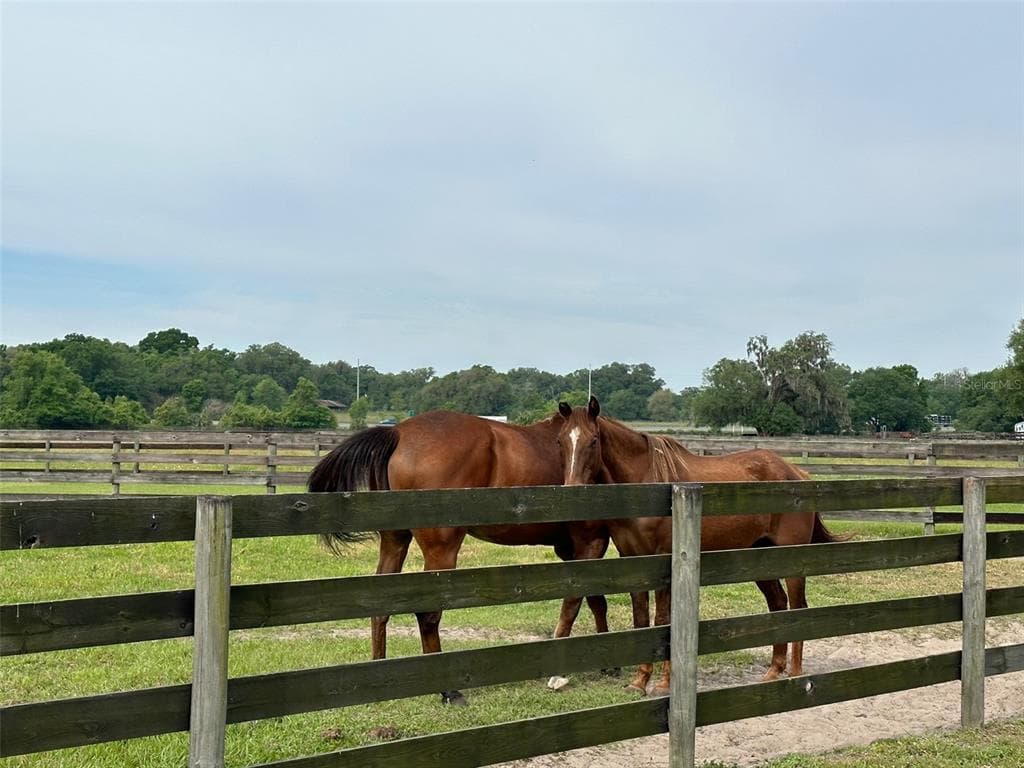 4101 NW 89TH PLACE, OCALA, FL 34482 — zdjęcie 4