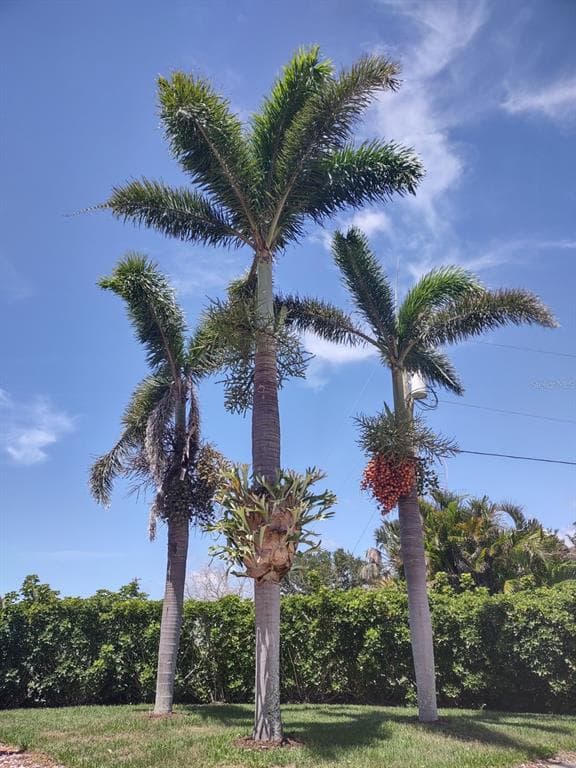 17274 ASMARA COURT, PUNTA GORDA, FL 33955 — zdjęcie 2
