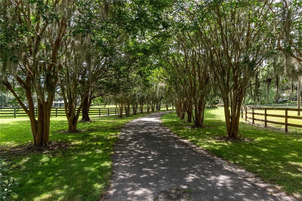 12500 NW 100TH STREET, OCALA, FL 34482 — zdjęcie 5