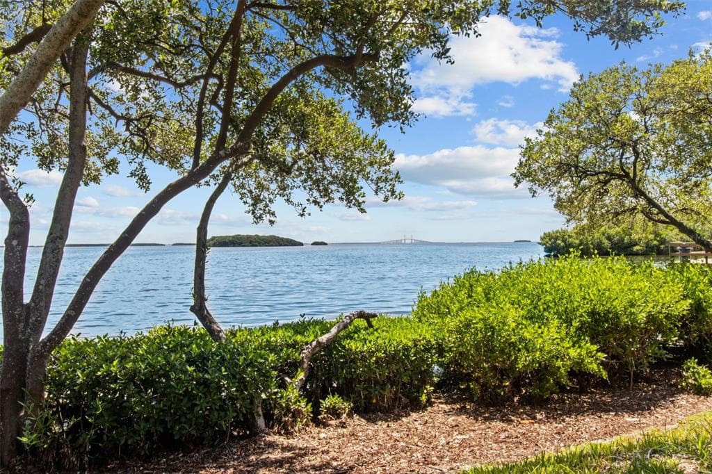 1515 PINELLAS BAYWAY S # 65, ST PETERSBURG, FL 33715 — zdjęcie 3