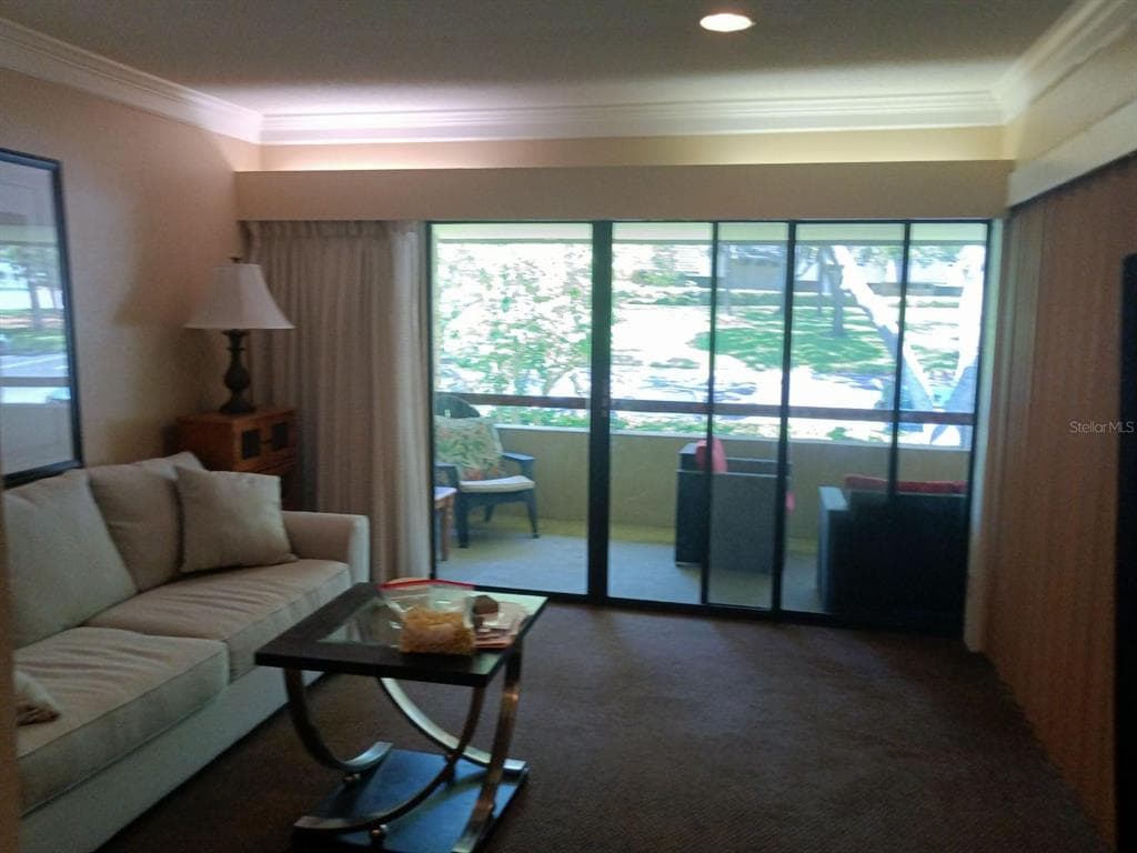 36750 US HIGHWAY 19 N # 13-216, PALM HARBOR, FL 34684 — zdjęcie 3