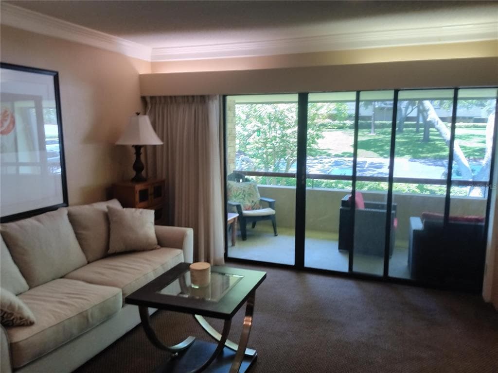 36750 US HIGHWAY 19 N # 13-216, PALM HARBOR, FL 34684 — zdjęcie 4