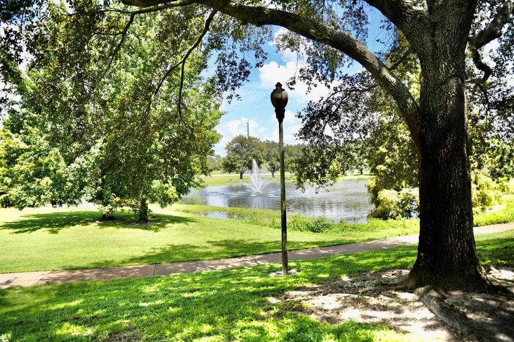 36121 LAKE CHASE BOULEVARD # 204, ZEPHYRHILLS, FL 33541 — zdjęcie 2