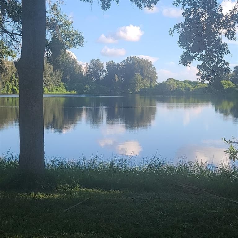 2400 PINE HAMMOCK, CLEARWATER, FL 33764 — zdjęcie 2