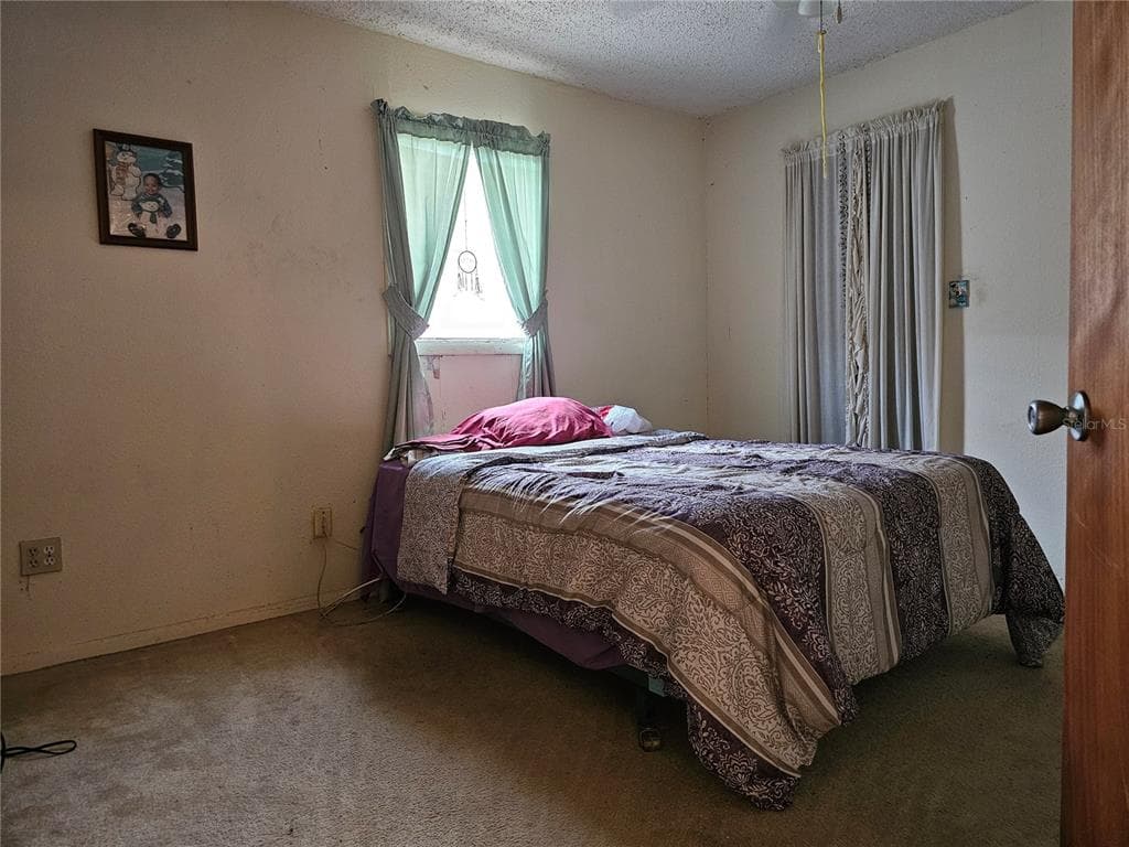 320 COUNTY ROAD 619, LAKE PLACID, FL 33852 — zdjęcie 3