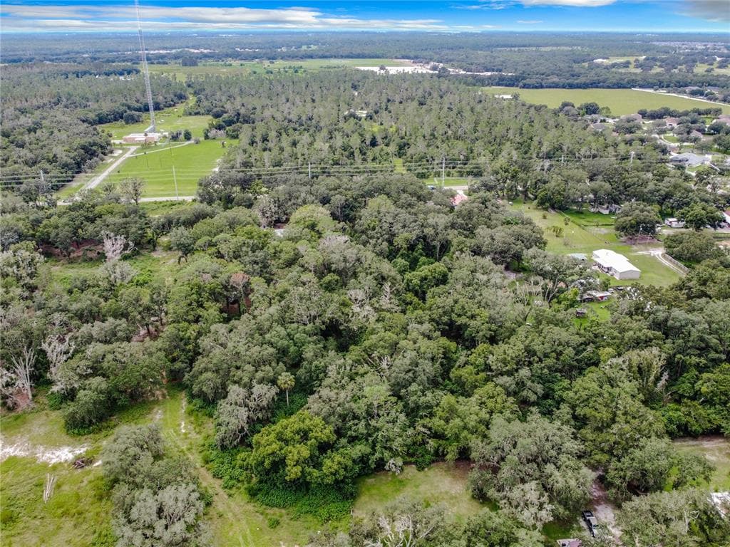 16206 BOYETTE ROAD, RIVERVIEW, FL 33579 — zdjęcie 5