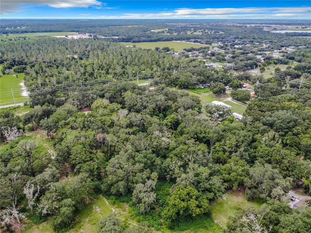 16206 BOYETTE ROAD, RIVERVIEW, FL 33579 — zdjęcie 4