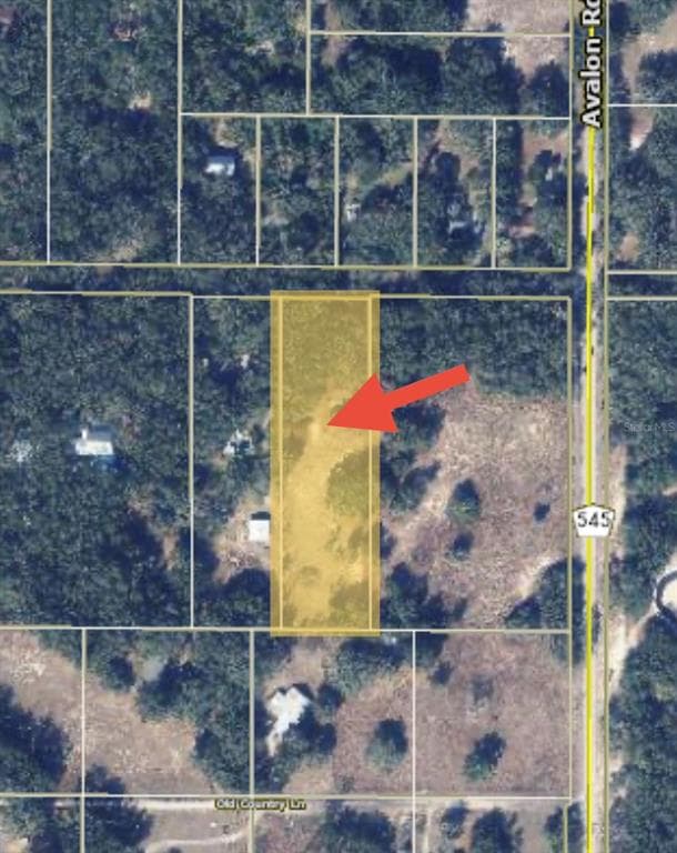 17144 PHIL C PETERS ROAD, WINTER GARDEN, FL 34787 — zdjęcie 4