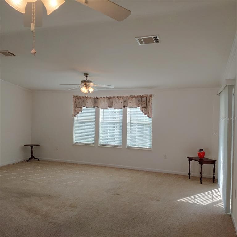 1760 DOROTHY BOULEVARD, LUTZ, FL 33558 — zdjęcie 5