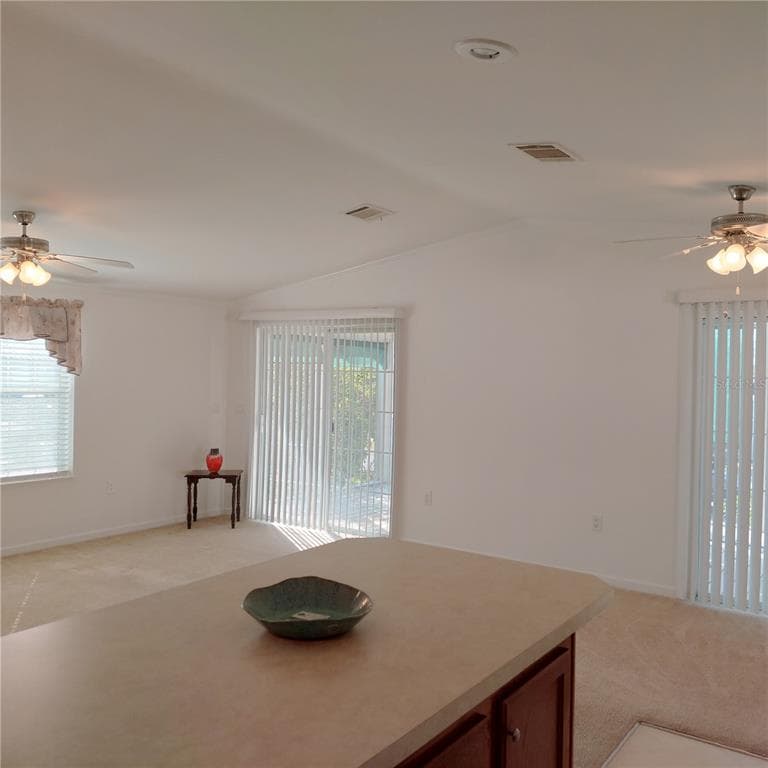 1760 DOROTHY BOULEVARD, LUTZ, FL 33558 — zdjęcie 4