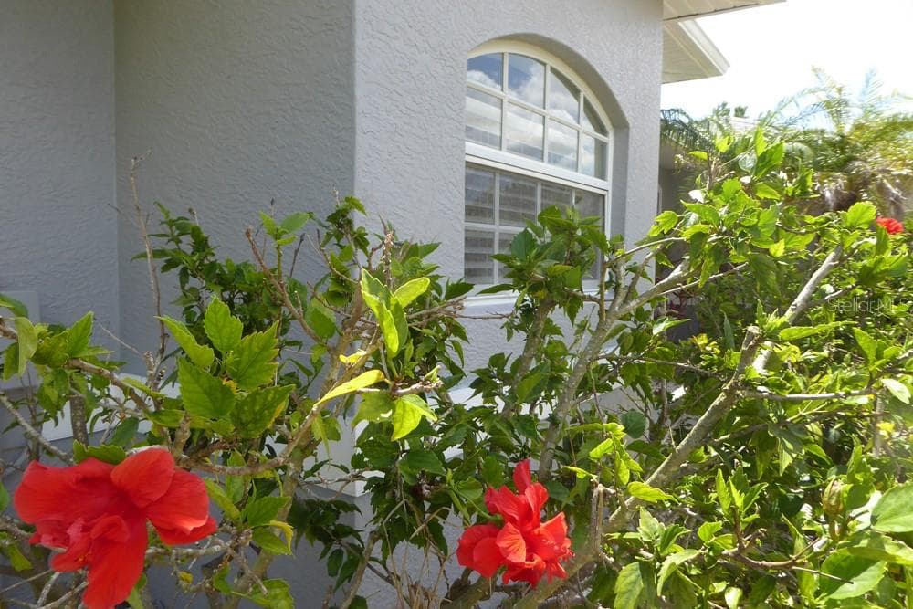 328 BAYTREE DRIVE, ROTONDA WEST, FL 33947 — zdjęcie 4